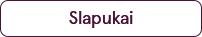 1slapukai.png
