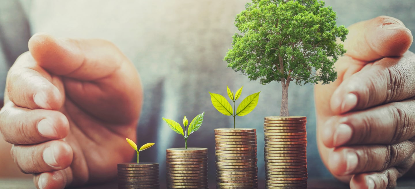 Convert your savings into investments