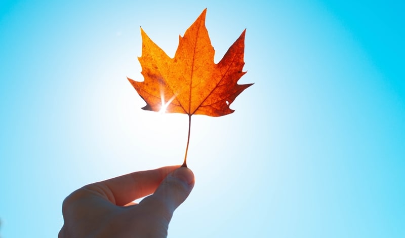 Volatility came back during first month of Autumn