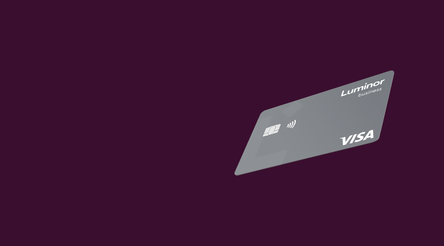 Visa Business